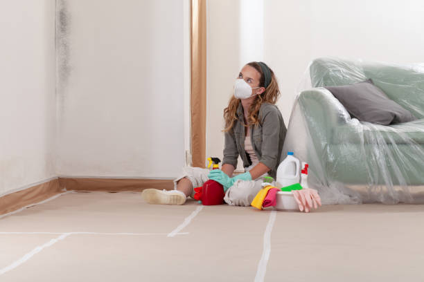 Reliable Mold Remediation contractor in Sparta, TN by WQB Mold Removal