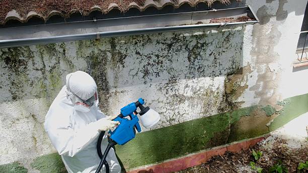 Top rated local Mold Remediation specialists in Sparta, TN